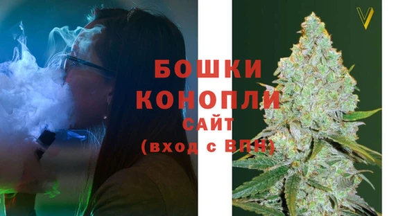 бутират Горняк